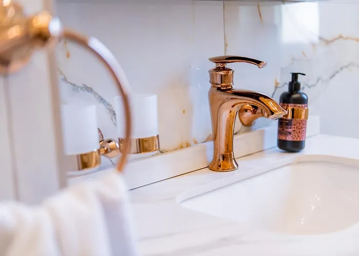 Apartment Olive Timisoara